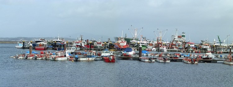 Amarre general en el puerto de A Pobra do Caramiñal